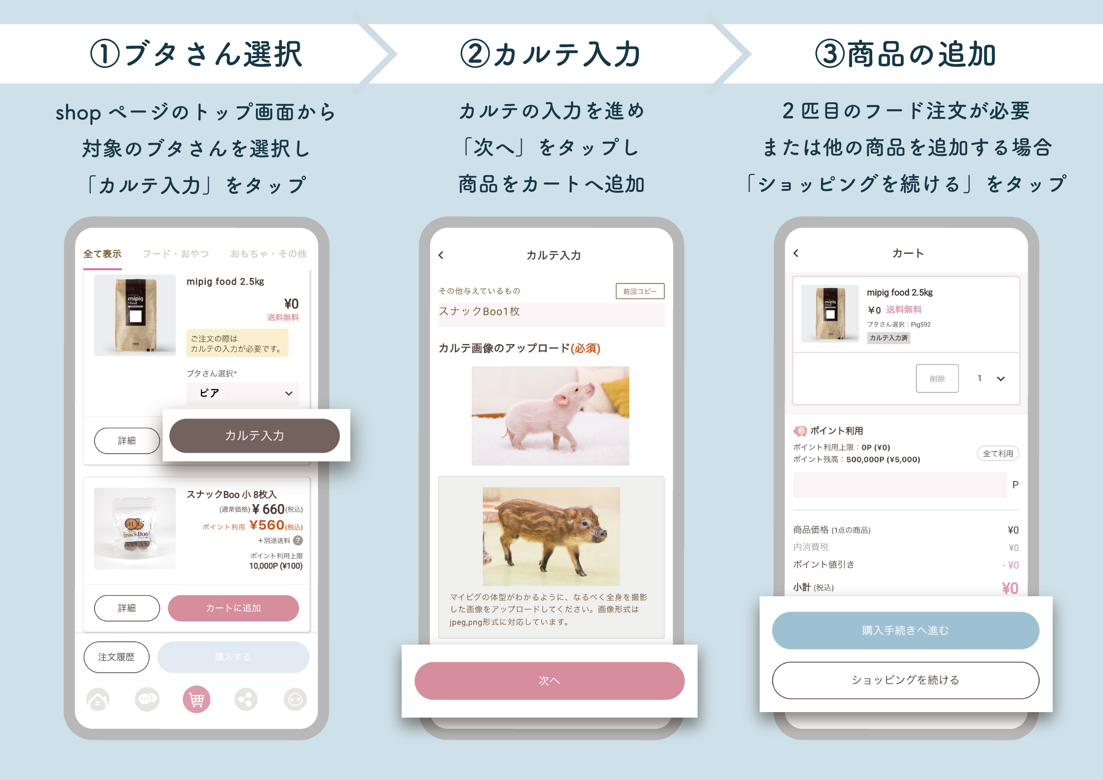 mipig family | 飼育情報
